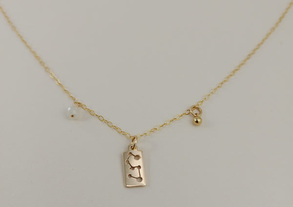 The gold leo necklace