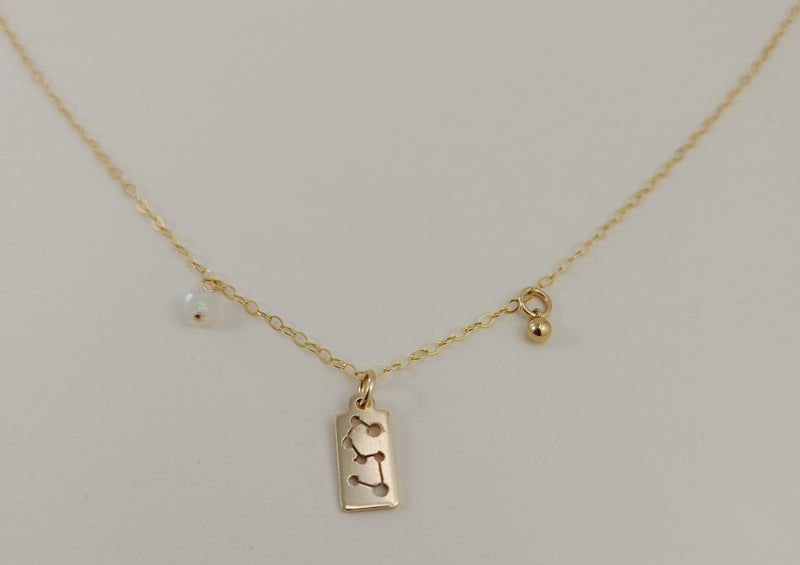 The gold leo necklace
