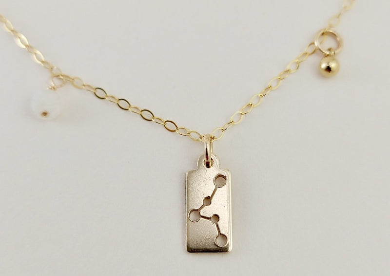 The gold pisces necklace