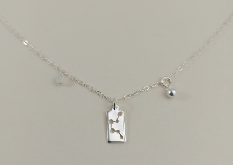 The silver aquarius necklace