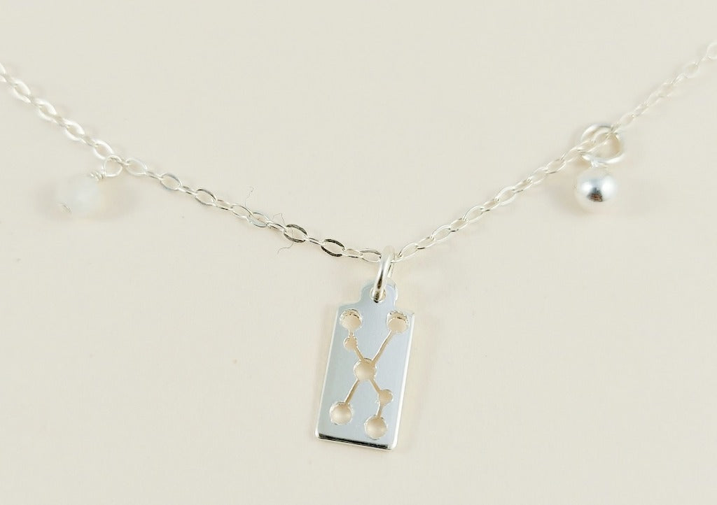 the silver taurus necklace