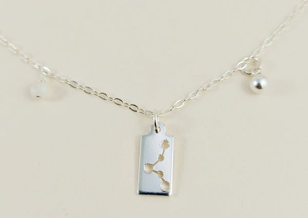 The silver pisces necklace