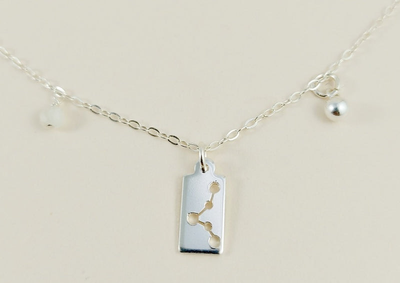 The silver pisces necklace